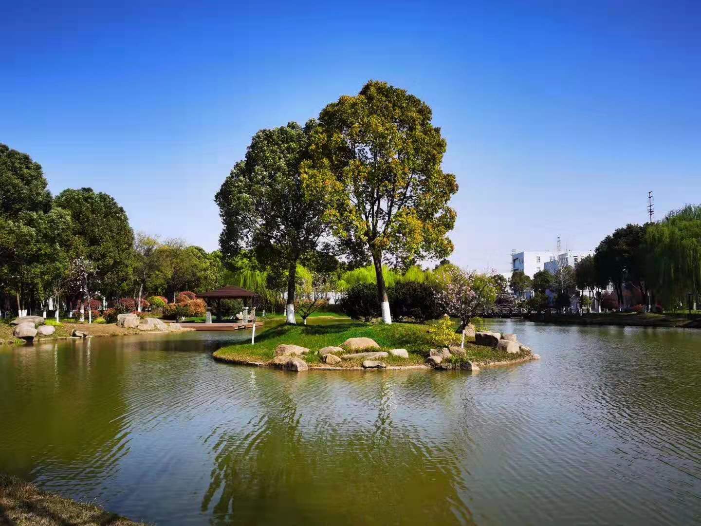 191613695890185464.jpeg 微信圖片_20210219085036.jpg